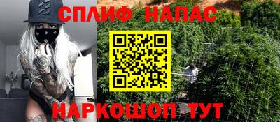 индика Коммунар