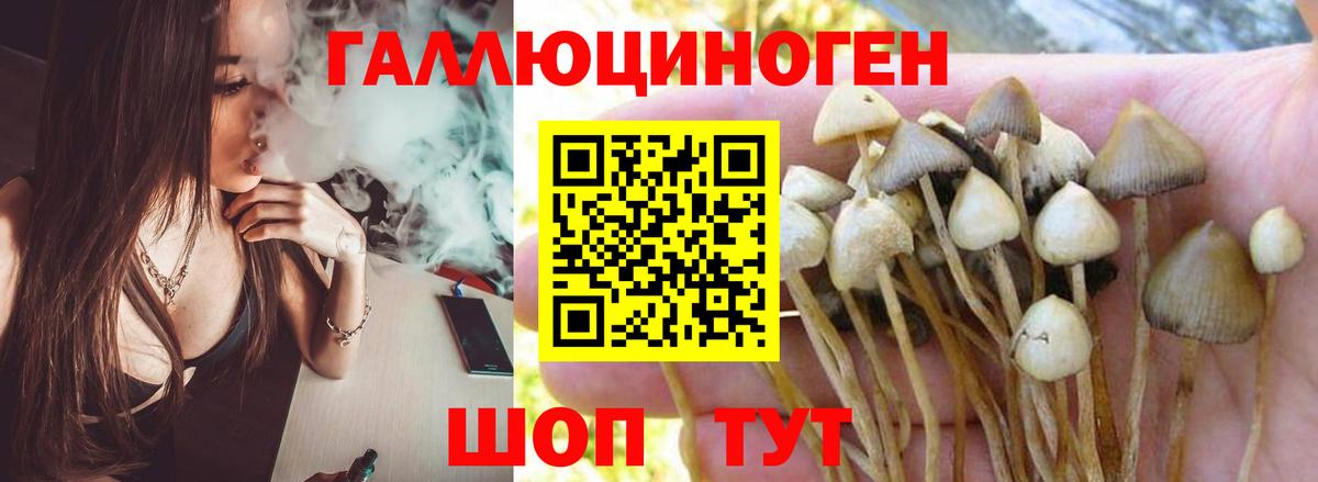 Псилоцибиновые грибы ЛСД  Псилоцибиновые грибы GOLDEN TEACHER  купить наркоту  Киров  Вход с VPN 
